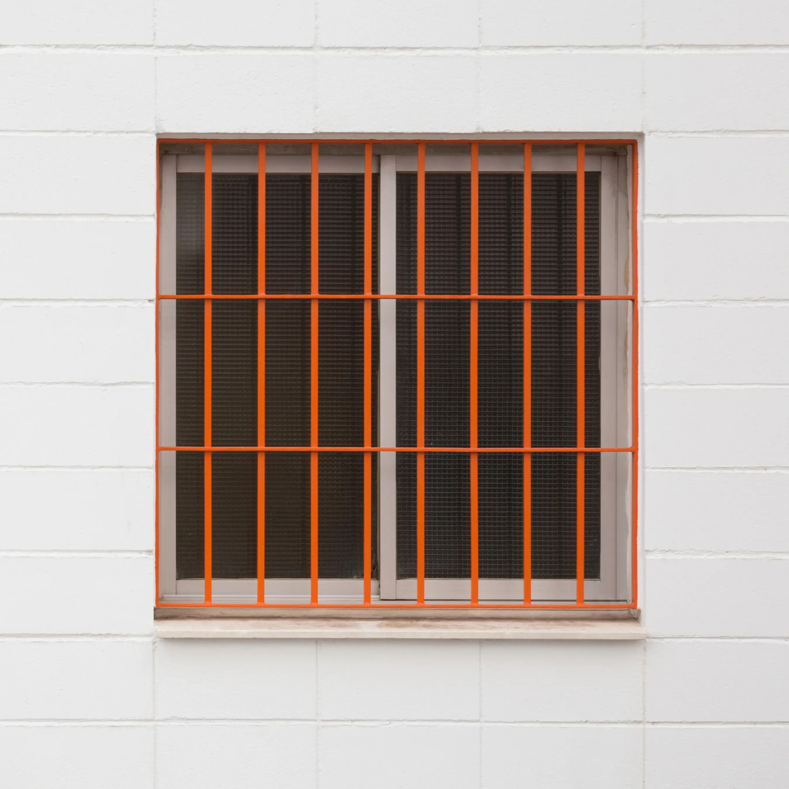 Windows with mosquito net